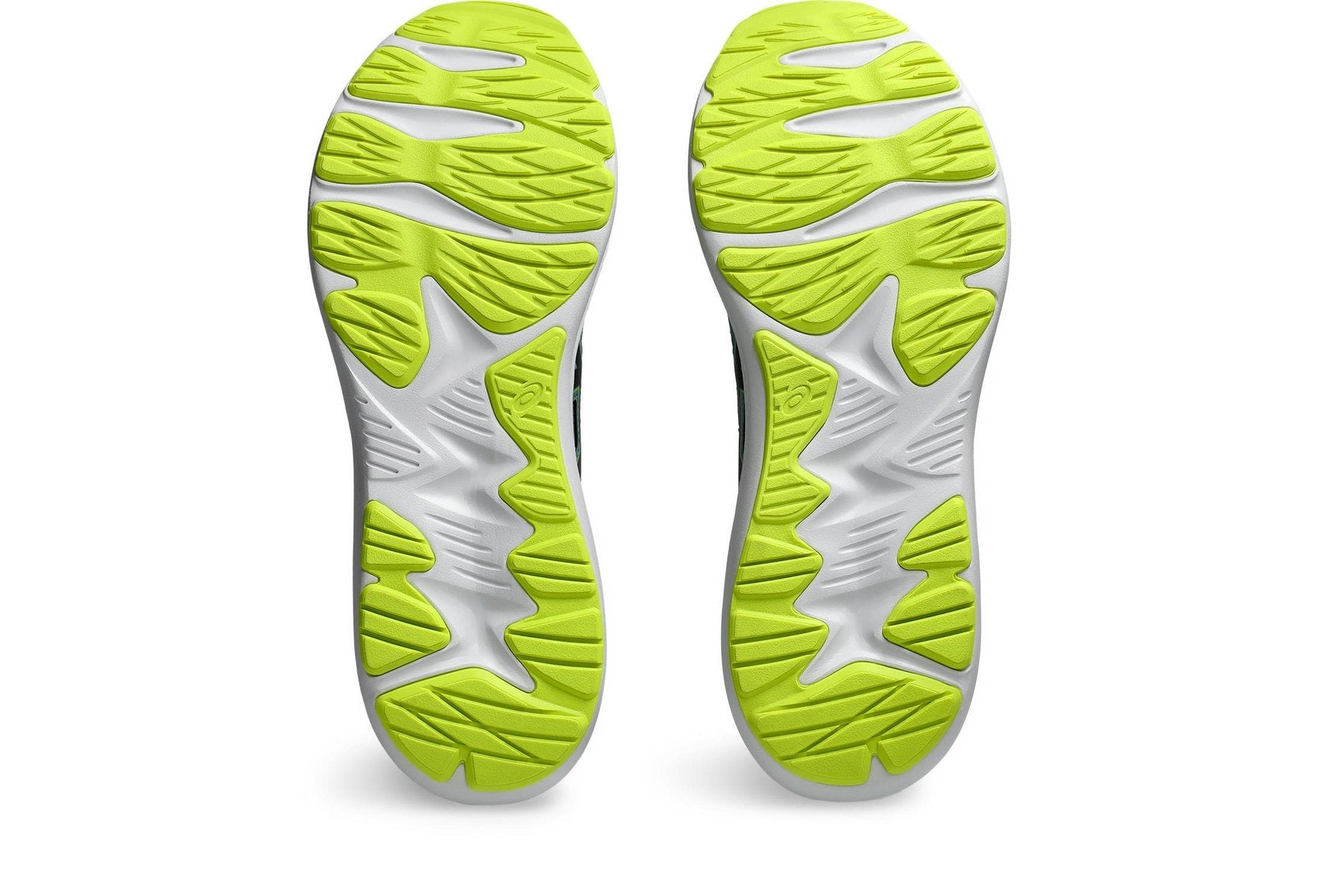 Asics JOLT 4 Shoes