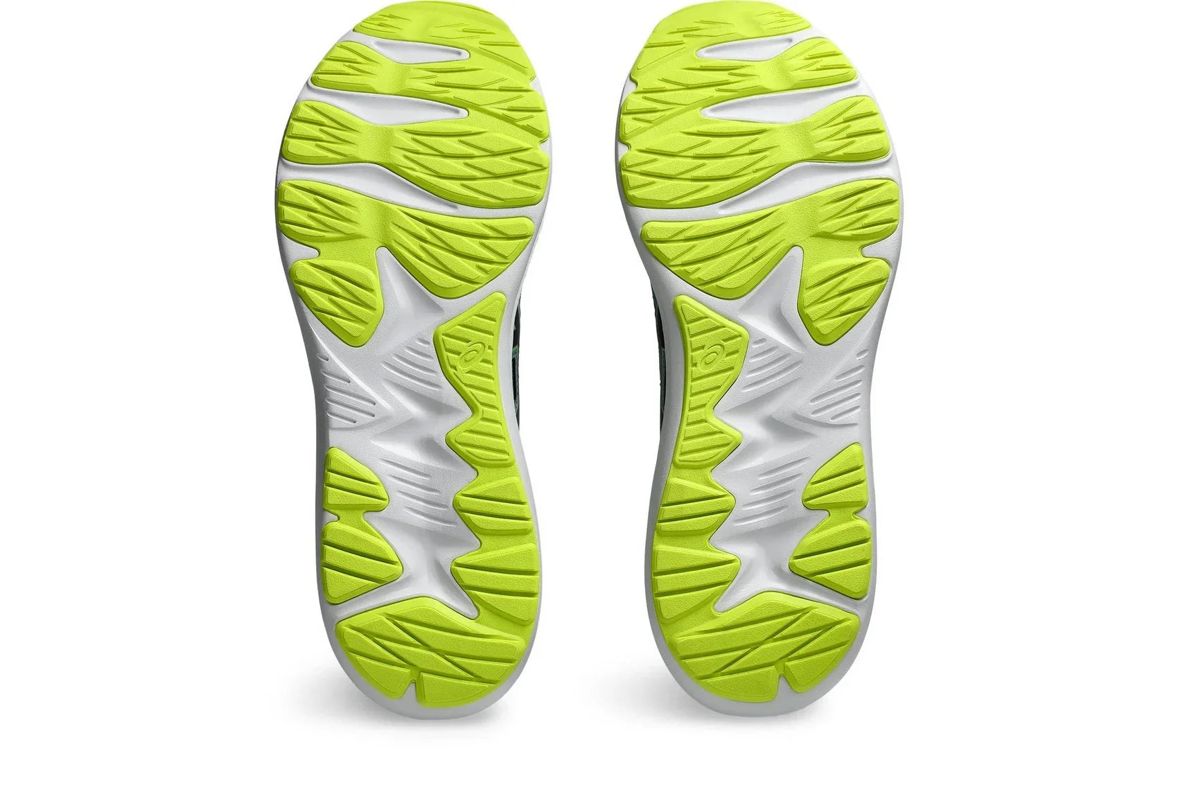 Asics JOLT 4 Shoes