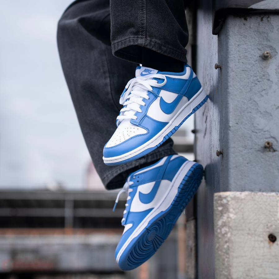 Nike Dunk Low Retro Shoes
